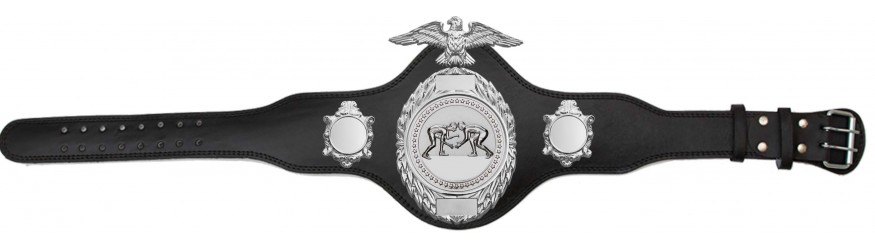 GRAPPLING CHAMPIONSHIP BELT-PLT288/S/GRAPS-4 COLOURS GRAPPLING CHAMPIONSHIP BELT-PLT288/S/GRAPS-4 COLOURS